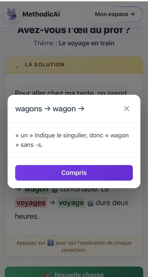 Chasse aux fautes - explication pédagogique de chaque erreur